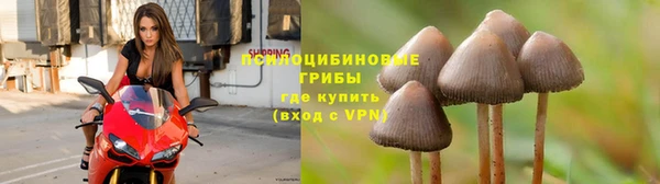 наркотики Бородино