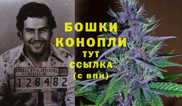 наркотики Бородино