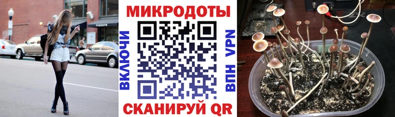 Галлюциногенные грибы мухоморы  Южно-Сахалинск 